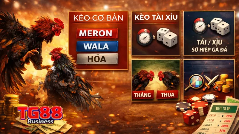 Cược Chọi Kê TG88