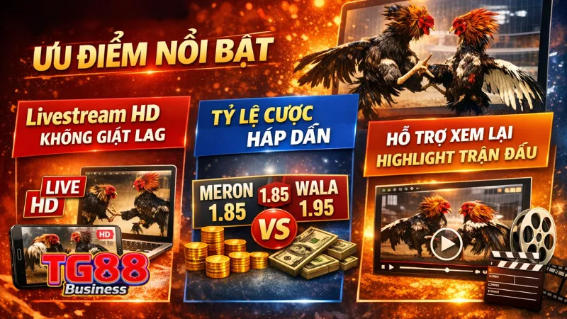 đá gà trực tuyến TG88